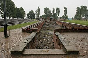 Auschwitz - Overblijfselen gaskamers