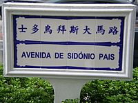 Avenida Sidónio Pais