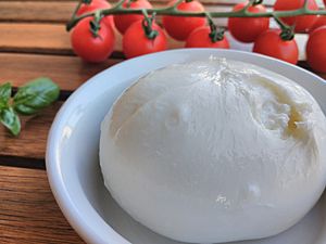 Burrata2