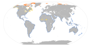 Calidris alba map.svg