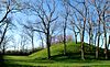 Campbell Mound