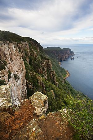 Cape Raoul from Lookout