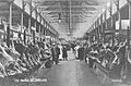 City Market, Saint John, New Brunswick 1910