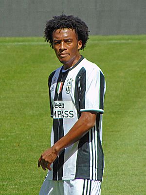 Cuadrado 2017 (edited)