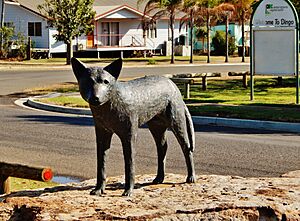 Dingo dingo monument September 2017