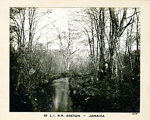 George Bradford Brainerd (American, 1845-1887). Long Island Rail Road Station, Jamaica, ca. 1872-1887.