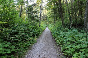 Gfp-wisconsin-whitefish-dunes-hiking-walkway