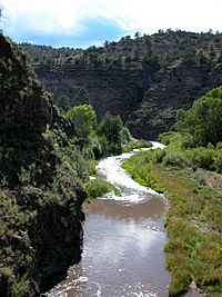 Gila River Middle Fork.2