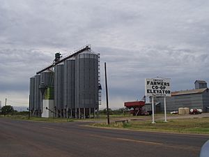 Graincoop