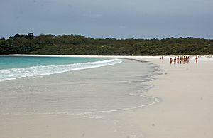 Hyams Beach 006