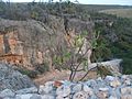 Jaragua National Park (Road2)