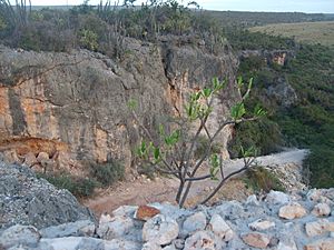 Jaragua National Park (Road2)