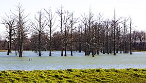 Lake Conway, Faulkner County, AR