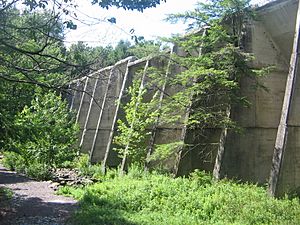 Lake Leigh Dam 1 RGSP