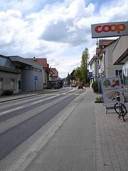 Valbirse main road