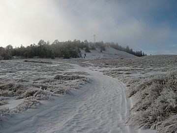 Mount Pinos.jpg