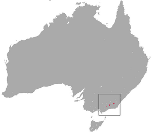 Mountain Pygmy Possum area.png