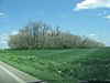 Murphy Mound Archeological Site