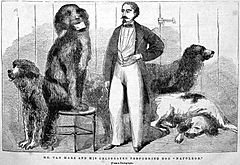 NapoleonWonderDog-GVanHare-CircusAd-Illustration1862