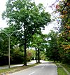 Neponset Valley Parkway, Metropolitan Park System of Greater Boston