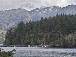 Newcombe Peak - panoramio