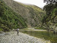 Orari River running.jpg