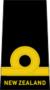 Sub lieutenant