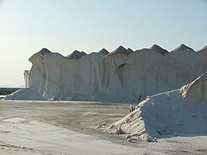 Salt works salines 1