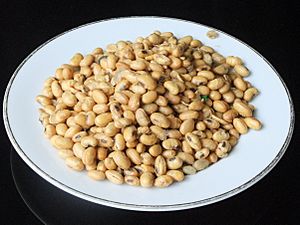 Snack kacang kedelai.JPG