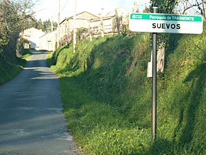 Suevos