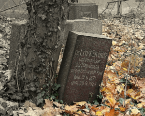 Tombstone Ernst Steinitz Wroclaw.png