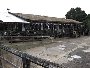 Walter Segal building at Surrey Docks Farm