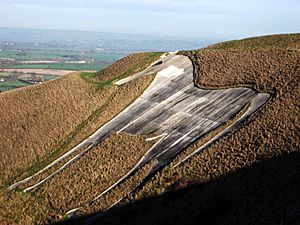 Westburyhorse-2012