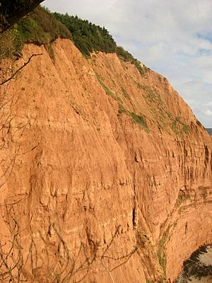 2010-20-07 peak hill cliff face