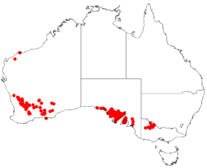 Acacia ancistrophyllaDistMap45.png