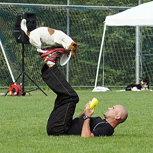 AdrianStoica THINKERBEL DiscDog EuropeanChampion 2014.ipg