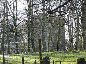 Affleck Castle (geograph 4266315)