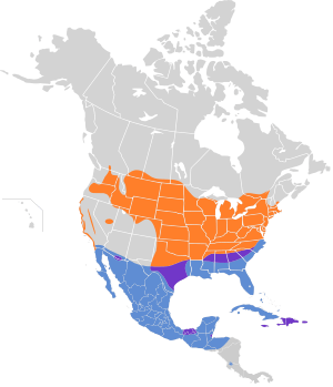 Ammodramus savannarum map.svg