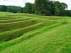 Ardoch Roman Fort - geograph.org.uk - 1981385.jpg