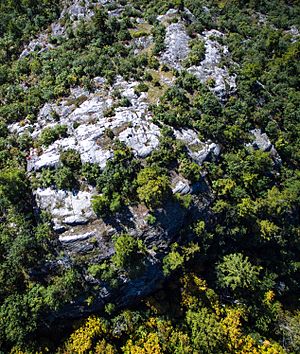 Bald Mountain Summit (Michigan)