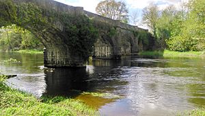 Belturbet, old railway bridge