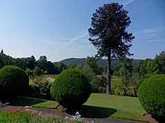 Brockhole Gardens (geograph 2491412)