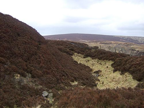 A ditch with heather on the slopes.