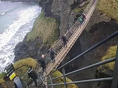 Carrick a rede 2010