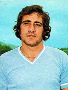 Chinaglia panini card