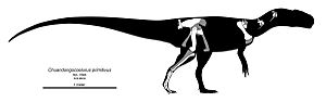 Chuandongocoelurus Skeletal.jpg