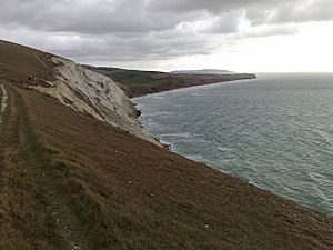 Compton Bay2