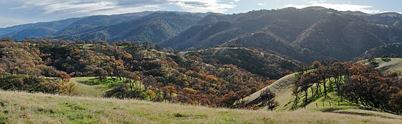 Del Valle Regional Park Eagle Crest Trail B