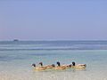 Ducks on a beach at Kavaratti, Lakshadweep