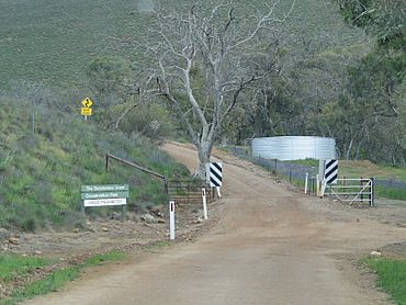 Dutchmans Stern Park.JPG